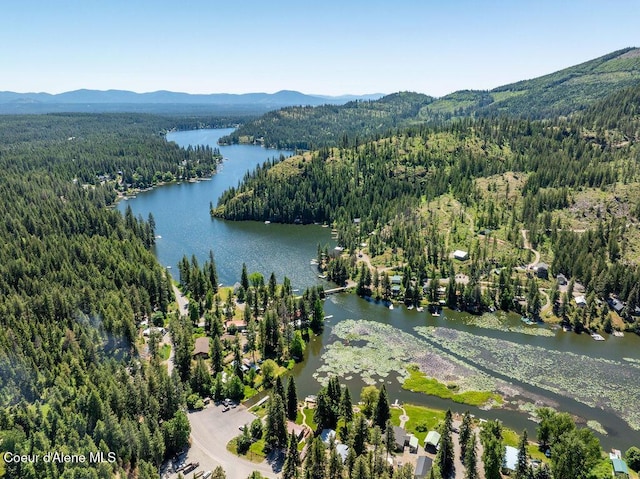 7547 W Channel Ln, Rathdrum, ID 83858 - bird's eye view of a heavily wooded area and a water and mountain view