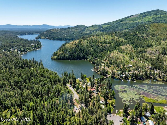 7547 W Channel Ln, Rathdrum, ID 83858 - aerial view of a heavily wooded area and a water and mountain view