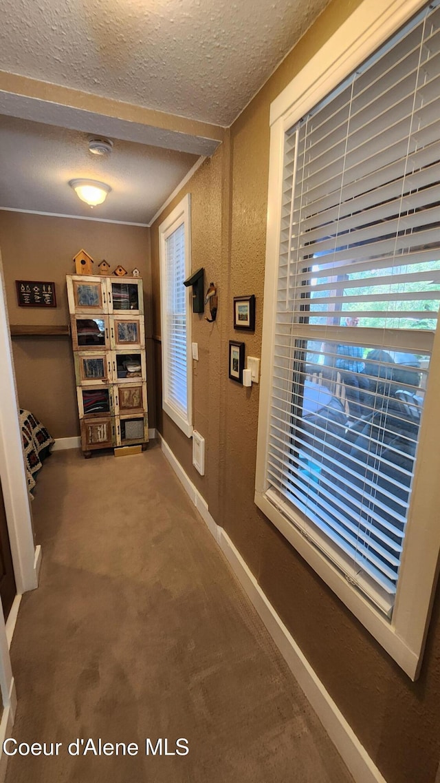 16646 E Cape Horn Rd, Bayview, ID 83803 - corridor with a textured ceiling, baseboards, and carpet floors