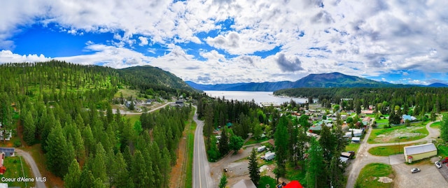 16646 E Cape Horn Rd, Bayview, ID 83803 - view of mountain backdrop with a forest and a nearby body of water