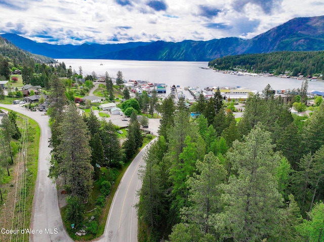 16646 E Cape Horn Rd, Bayview, ID 83803 - bird's eye view of a water and mountain view and a heavily wooded area