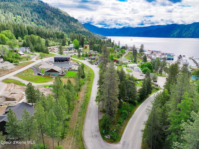 16646 E Cape Horn Rd, Bayview, ID 83803 - bird's eye view of a water and mountain view and a heavily wooded area