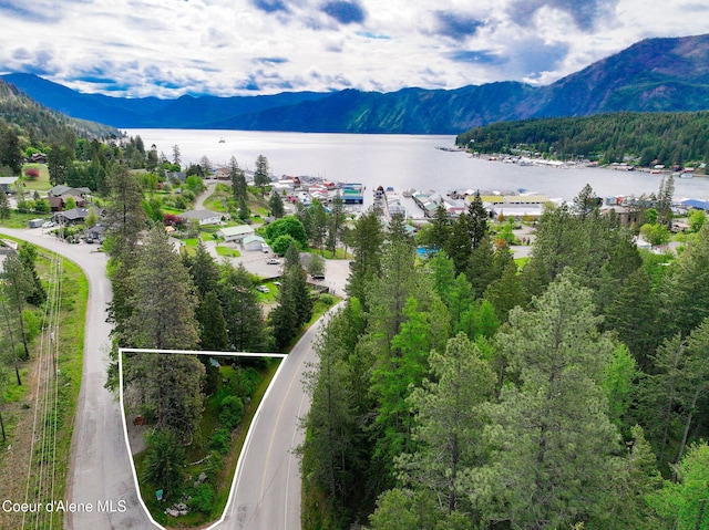 16646 E Cape Horn Rd, Bayview, ID 83803 - view of mountain background with a nearby body of water and a heavily wooded area