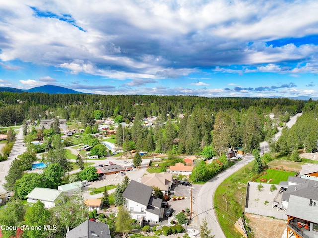 16646 E Cape Horn Rd, Bayview, ID 83803 - aerial view of residential area with a forest