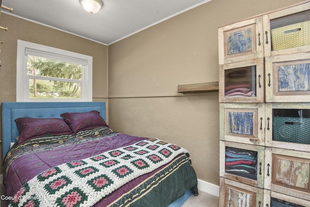 16646 E Cape Horn Rd, Bayview, ID 83803 - bedroom with ornamental molding, baseboards, and a textured wall