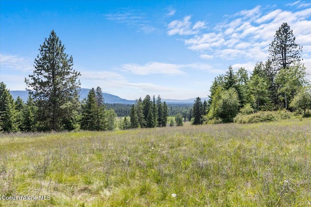 5239 E Dodd Rd, Hayden, ID 83835 - view of mountain background