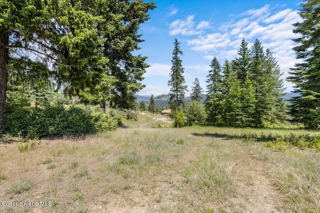 5239 E Dodd Rd, Hayden, ID 83835 - view of local wilderness