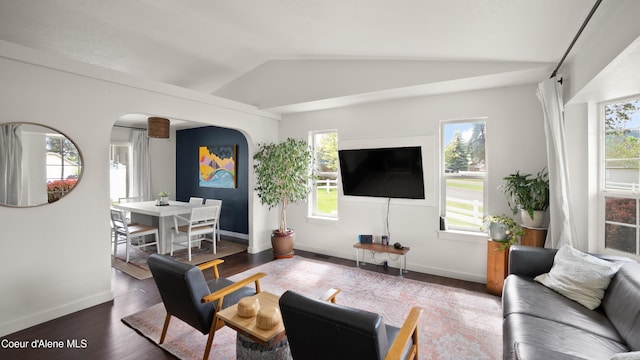 living area featuring lofted ceiling, arched walkways, baseboards, and wood finished floors