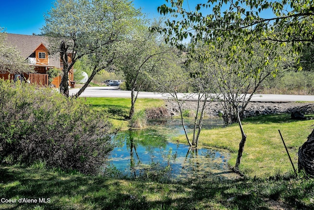 1 Elsie Peak Ct Unit B1 Bldg B, Pinehurst, ID 83850 - water view