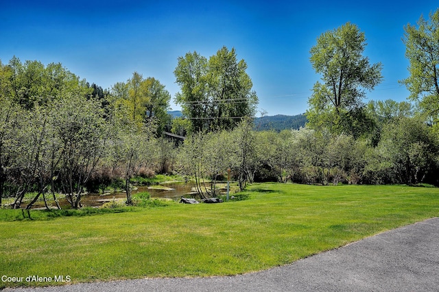 1 Elsie Peak Ct Unit B1 Bldg B, Pinehurst, ID 83850 - view of home's community featuring a yard
