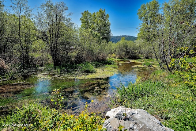 1 Elsie Peak Ct Unit B1 Bldg B, Pinehurst, ID 83850 - water view