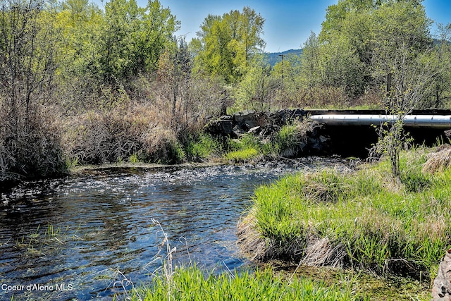 1 Elsie Peak Ct Unit B1 Bldg B, Pinehurst, ID 83850 - water view