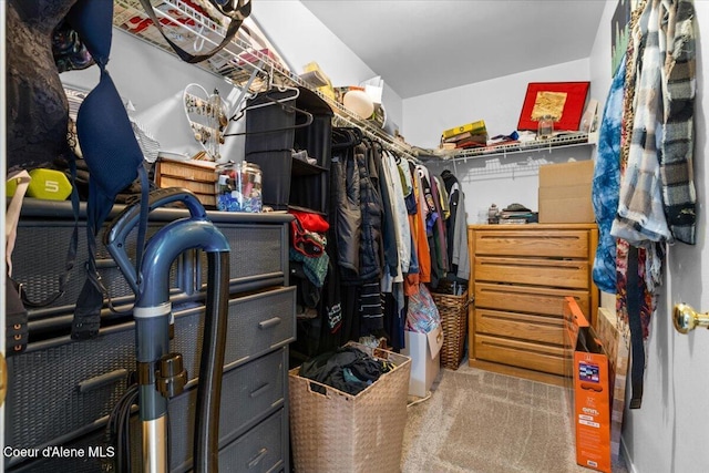 1135 W Wishkah Ave, Post Falls, ID 83854 - spacious closet with carpet