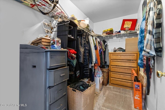 1135 W Wishkah Ave, Post Falls, ID 83854 - spacious closet with carpet