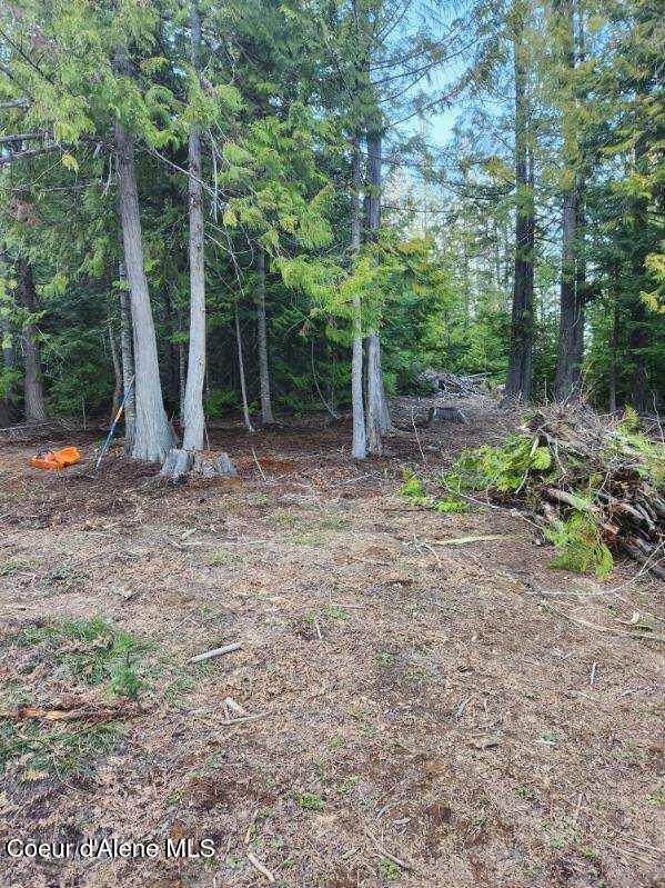 NKA Middle Fork Santa Creek, Saint Maries, ID 83861 - photo 2