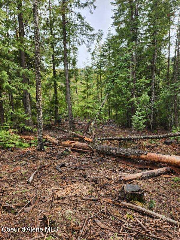 NKA Middle Fork Santa Creek, Saint Maries, ID 83861 - photo 3