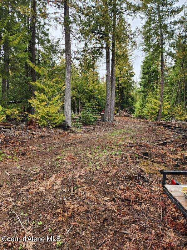 NKA Middle Fork Santa Creek, Saint Maries, ID 83861 - photo 4