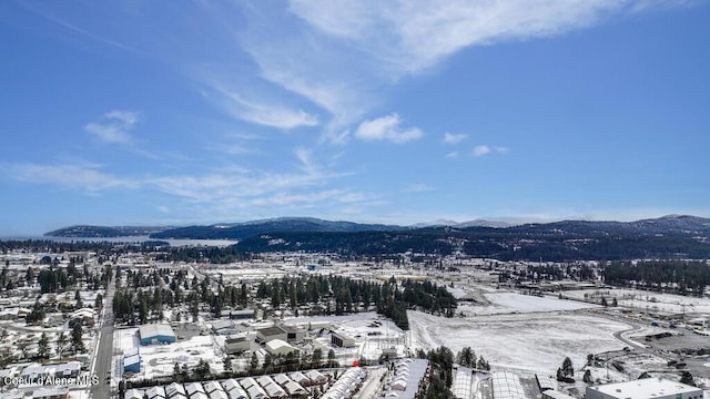 4362 N Meadow Ranch Ave, Coeur Dalene, ID 83815 - mountain view