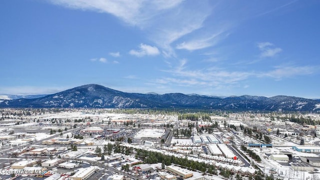 4362 N Meadow Ranch Ave, Coeur Dalene, ID 83815 - view of mountain background