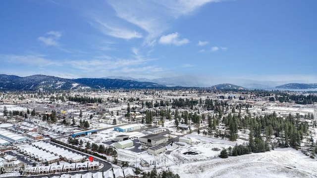 4362 N Meadow Ranch Ave, Coeur Dalene, ID 83815 - snowy aerial view featuring a mountain view