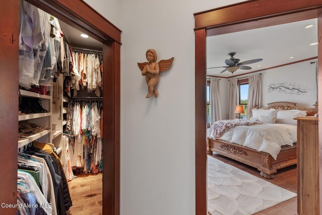 bedroom featuring wood finished floors, a closet, a spacious closet, recessed lighting, and ceiling fan