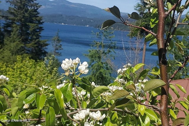 water view with mountains