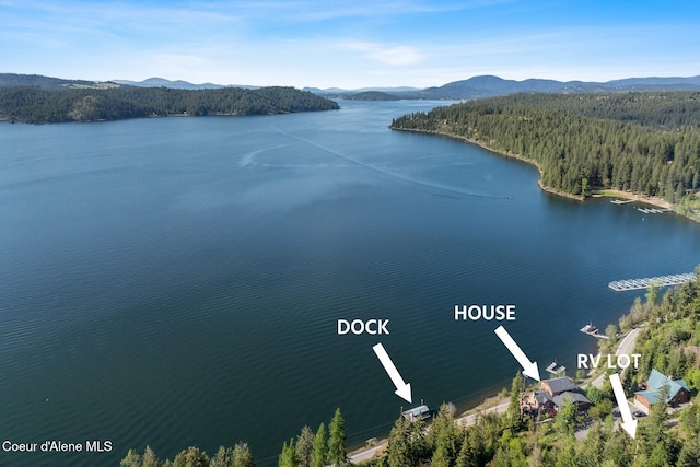 water view with a mountainous background and a heavily wooded area