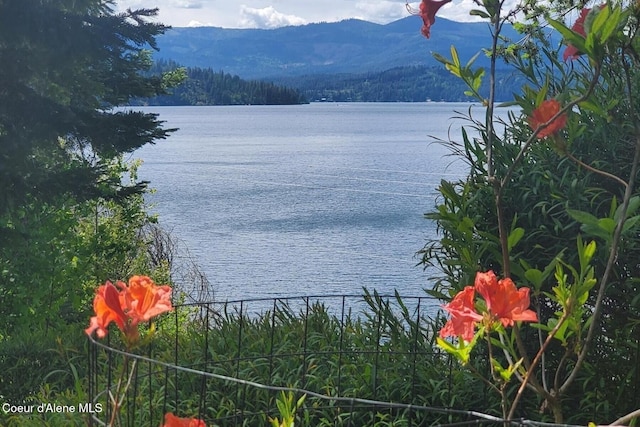 water view with a mountain backdrop