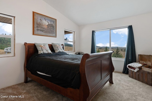 1341 Merideth Rd, Plummer, ID 83851 - carpeted bedroom featuring lofted ceiling