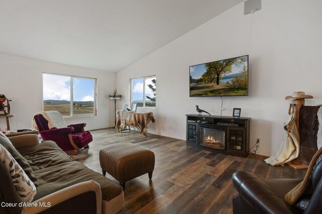 1341 Merideth Rd, Plummer, ID 83851 - living room with vaulted ceiling, wood finished floors, and a glass covered fireplace
