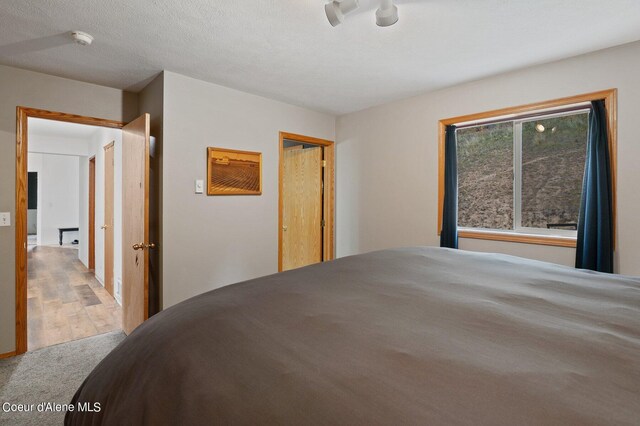 1341 Merideth Rd, Plummer, ID 83851 - carpeted bedroom featuring a closet and wood finished floors