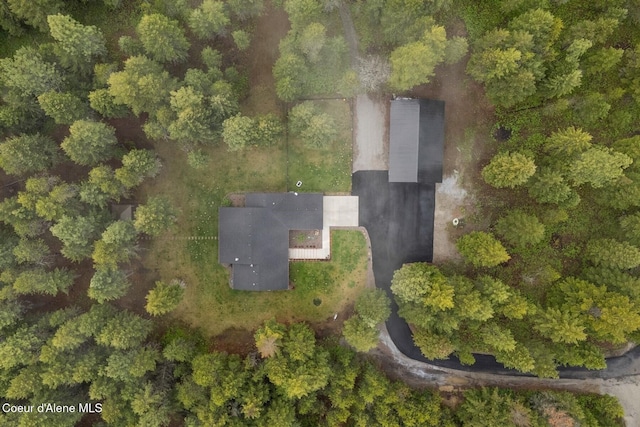 990 Goldfinch Ln, Spirit Lake, ID 83869 - aerial view of property's location