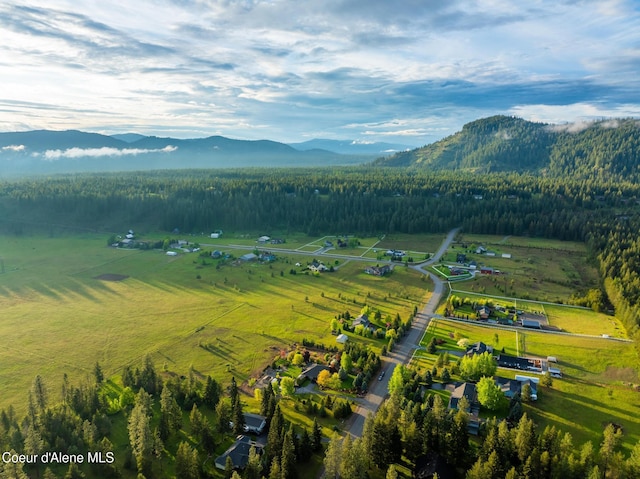 22385 N Ranch View Dr, Rathdrum, ID 83858 - view of mountain background featuring rural landscape and a forest