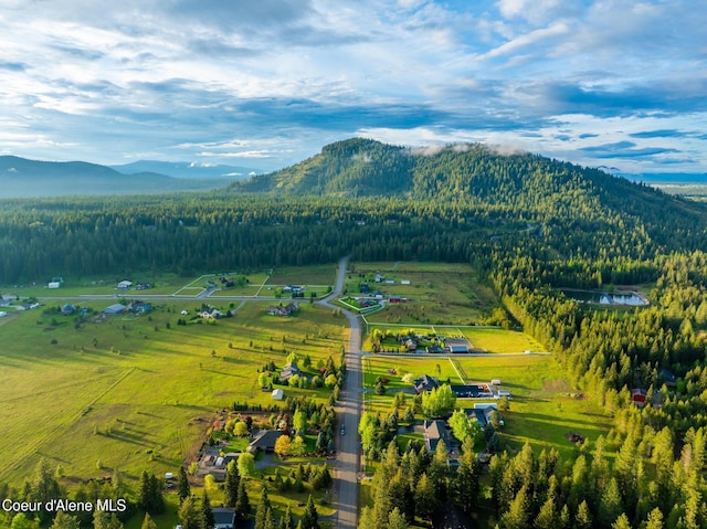 22385 N Ranch View Dr, Rathdrum, ID 83858 - view of mountain background with a heavily wooded area and rural landscape