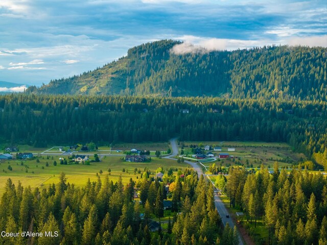 22385 N Ranch View Dr, Rathdrum, ID 83858 - view of mountain background with a forest
