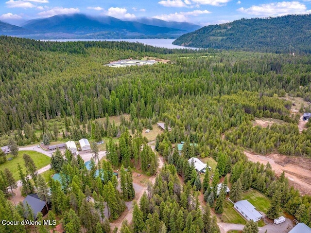 521 Shady Pines Loop, Priest Lake, ID 83856 - aerial view of a heavily wooded area and a water and mountain view