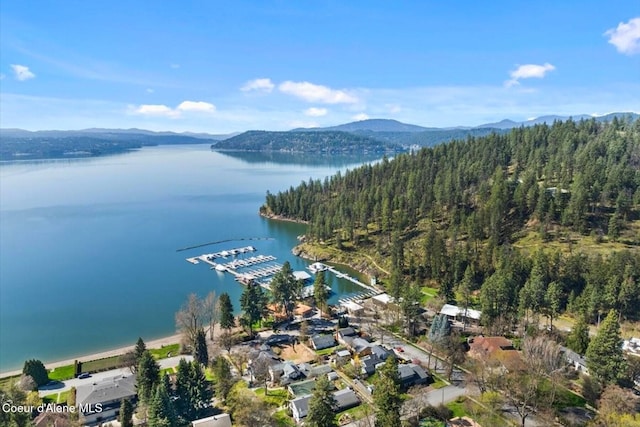 1107 E Lakeshore Dr, Coeur Dalene, ID 83814