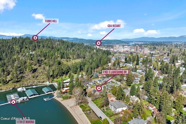 1107 E Lakeshore Dr, Coeur Dalene, ID 83814