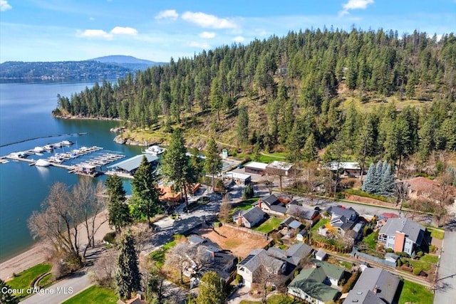 1107 E Lakeshore Dr, Coeur Dalene, ID 83814