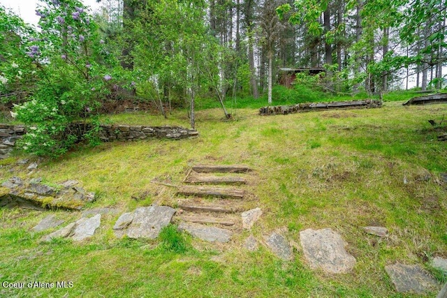 204 Sunrise Dr, Pinehurst, ID 83850 - view of yard