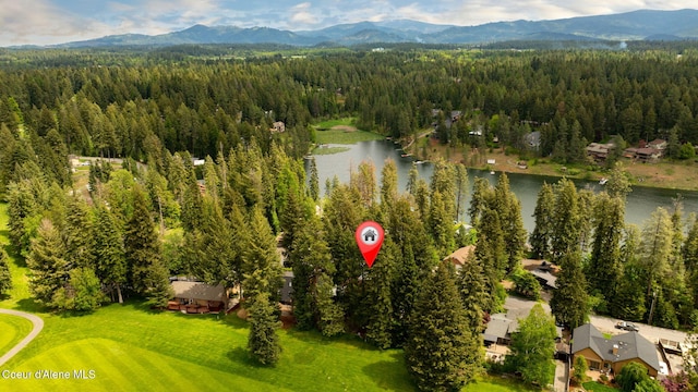 11679 N Avondale Loop, Hayden, ID 83835 - aerial view of a heavily wooded area and a water and mountain view