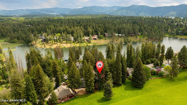 11679 N Avondale Loop, Hayden, ID 83835 - drone / aerial view of a forest and a water and mountain view