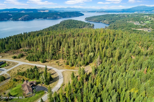 LT1BLK6 Kula Rd, Harrison, ID 83833