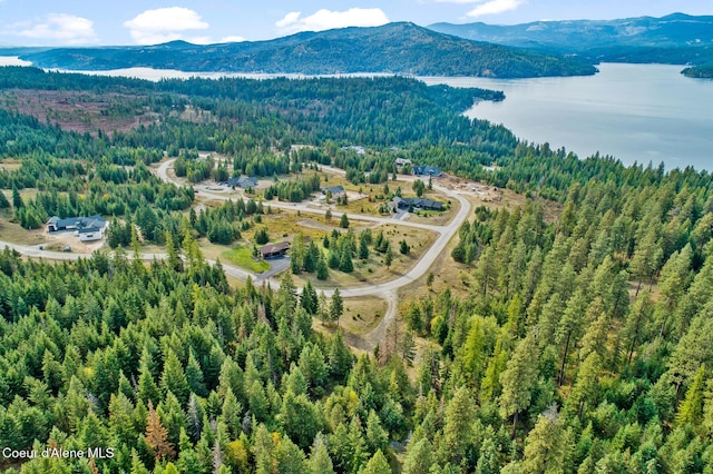 LT1BLK6 Kula Rd, Harrison, ID 83833
