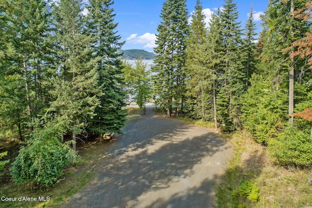 LT1BLK6 Kula Rd, Harrison, ID 83833