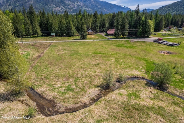 drone / aerial view of a forest and a mountain backdrop