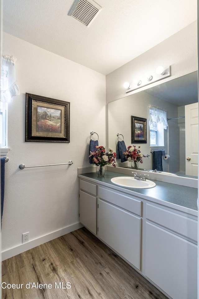 377 E Knotty Pine Ln Unit 2, Coeur Dalene, ID 83815 - bathroom featuring vanity, wood finished floors, healthy amount of natural light, and baseboards