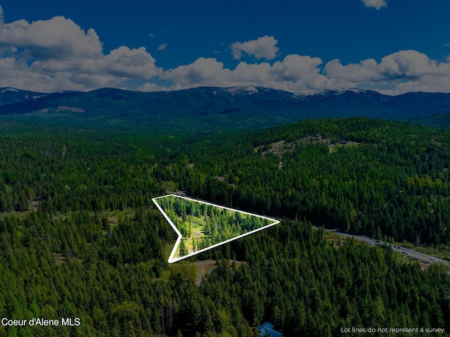 231 Sarah Ln, Sandpoint, ID 83864 - photo 38