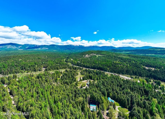 231 Sarah Ln, Sandpoint, ID 83864 - photo 21