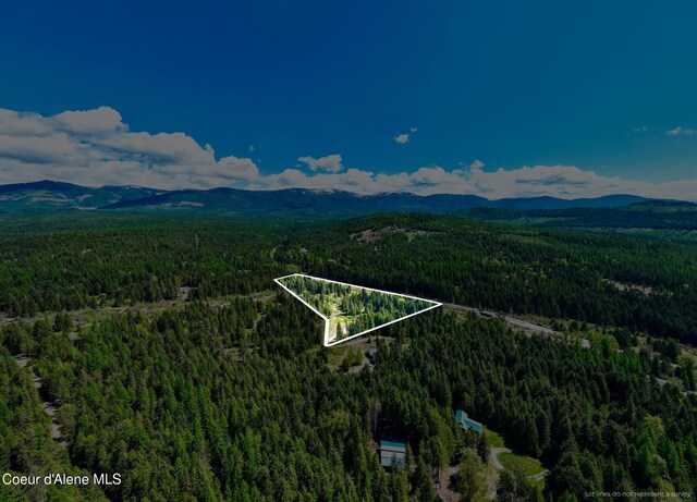 231 Sarah Ln, Sandpoint, ID 83864 - photo 36